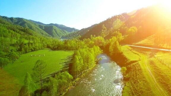 FHD全高清鸟瞰图在阳光明媚的夏日清晨低空飞过清新寒冷的山间河流、草地和道路