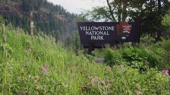 黄石国家公园的欢迎标志四周环绕着森林和落基山脉