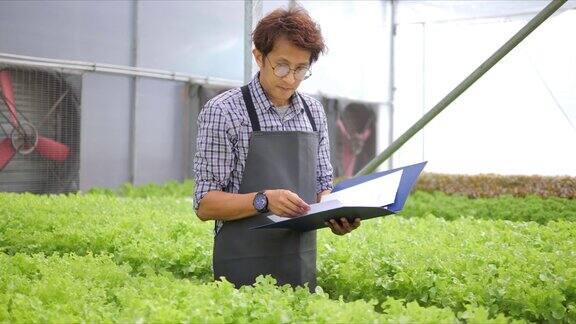 亚洲男性农场主检查有机水培蔬菜在温室农场的质量和数量