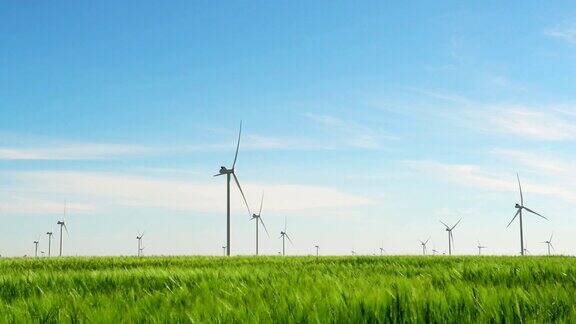 发电机组的风车在绿色的麦田里生产