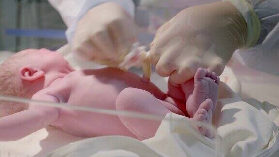 刚出生的可爱的婴儿与手夹在脐带在医院托儿所