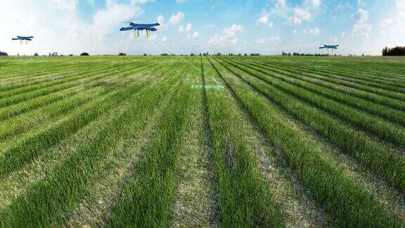无人机扫描农场智能农业连接4K电影物联网