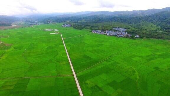 中国稻田鸟瞰图