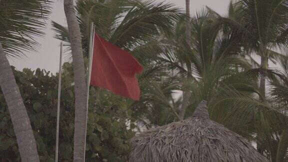 红旗背景下的棕榈树艰难2s-色域