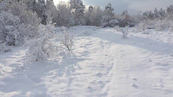 雪道由初冬清晨4K航拍拍摄