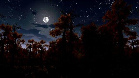 阴森森的夜森林里的满月