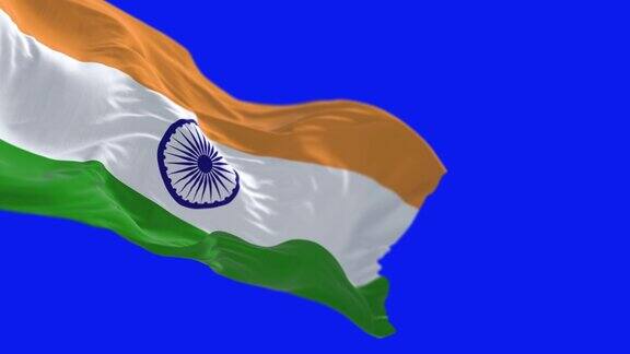印度国旗在蓝色的屏幕上孤独地挥舞着