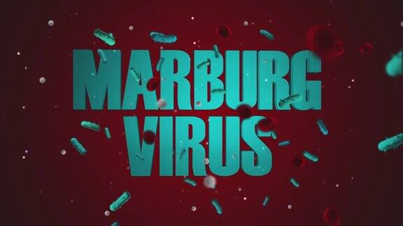 马尔堡病毒4K60fps视频