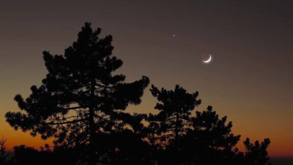 树木的轮廓星星和月亮在鲜艳的天空中