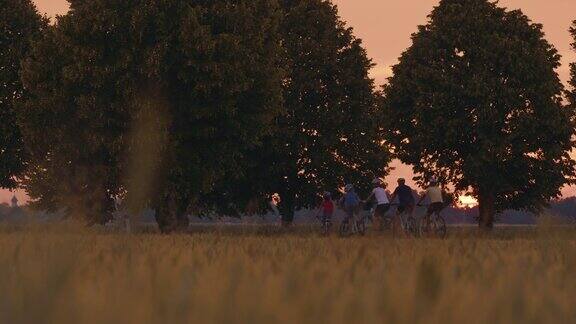 日落时分一个家庭带着三个孩子在绿树成荫的乡间小路上骑单车