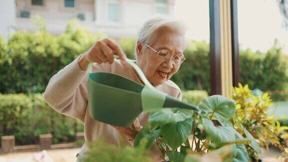 老奶奶在家给室外室内植物浇水