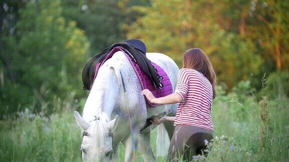 夏日的田野里年轻女子给马套上马鞍
