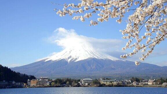 樱花背后的蓝天富士山和川口湖