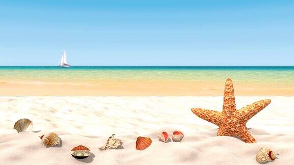 在平静的海浪中沙滩上的贝壳和海星