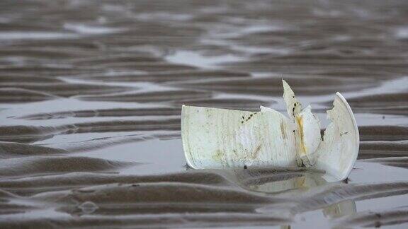 塑料饮料杯在泥滩、塑料垃圾、瓦、环境污染