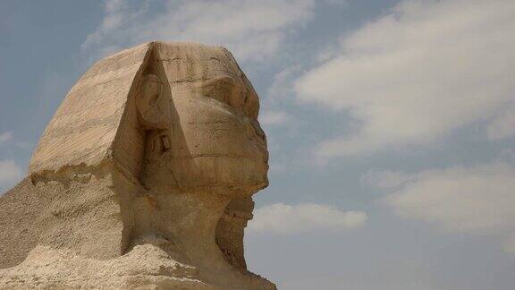 埃及开罗附近吉萨狮身人面像的特写