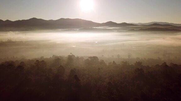 日出与薄雾松林和山在早晨航拍