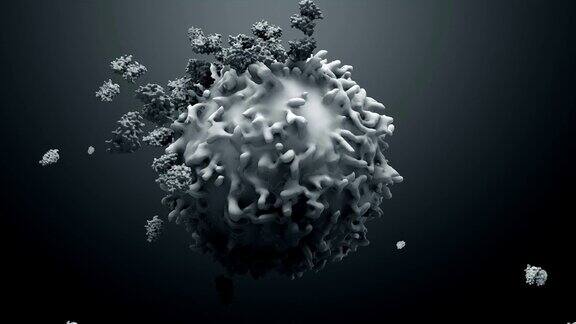 3d蛋白质与淋巴细胞t细胞或癌细胞