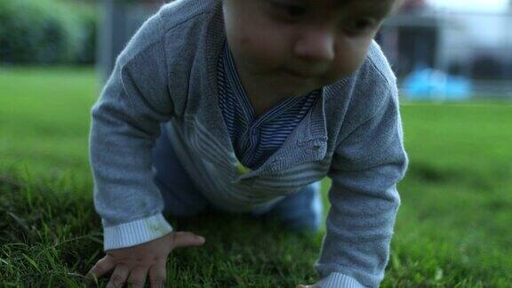 婴儿婴儿爬在屋外的家后院花园草