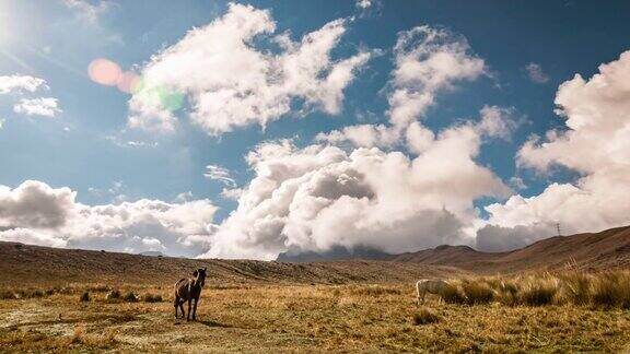 皮钦查山谷在厄瓜多尔基多与马的时间流逝