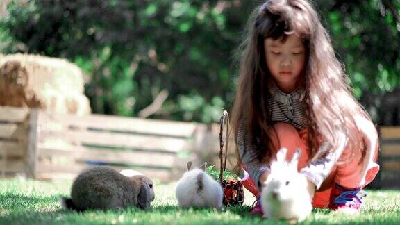 儿童女孩喂小兔子