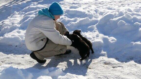男孩十几岁在冬天的雪地里逗着小狗玩耍