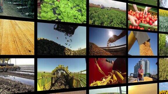视频墙蒙太奇-农业生产
