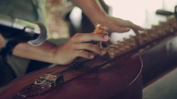 琴乐器泰国