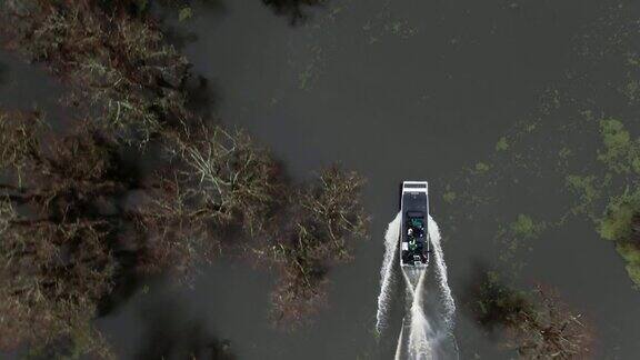 头顶上无人机拍摄的一艘飞艇在路易斯安那州南部的阿查法拉亚河流域沼泽的柏树之间快速行驶