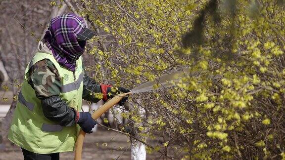 4K调色素材城市绿化者为树木植被浇水 