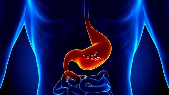 胃痛-胃酸-反流
