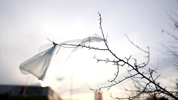 塑料袋在风中飘扬