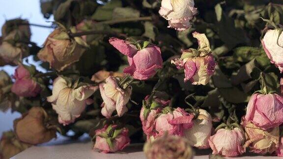一束枯萎的粉红色玫瑰花暗室里的桌子上放着干玫瑰