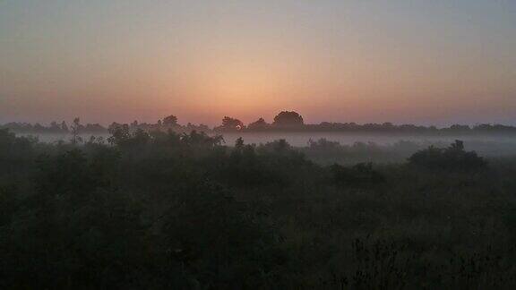 晨雾中飞过峡谷草夏末