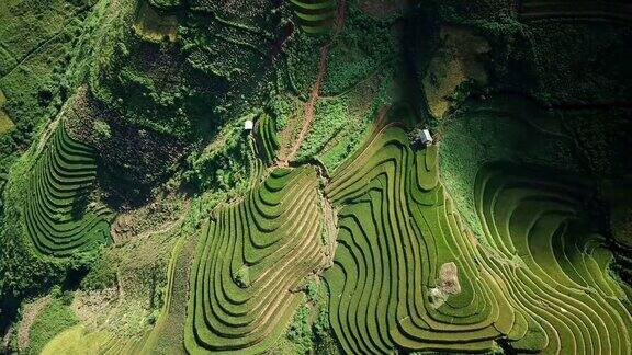 梯田在丘陵或山区耕作通常在东部南部和东南亚耕作