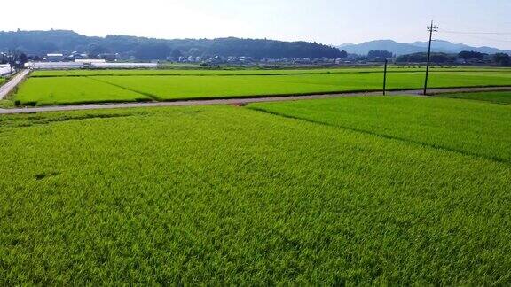 日本夏季乡村景观鸟瞰图