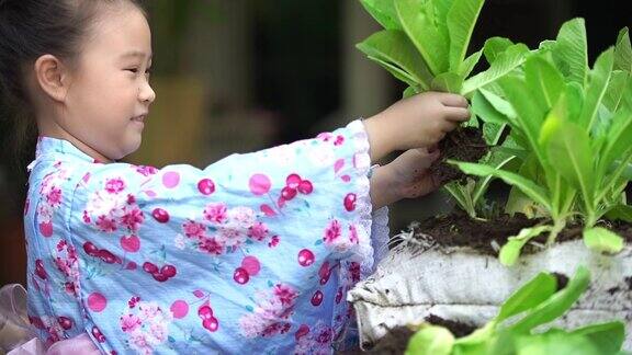 SLOMOCS亚洲小女孩在日本的裙子是收集蔬菜她自己种植在家里