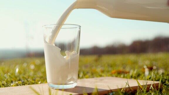 在一个阳光明媚的日子往杯子里倒牛奶