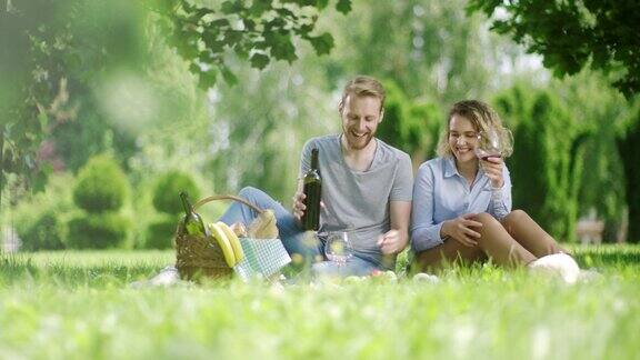 男男女女在公园野餐时喝着白红酒