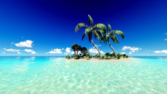 有棕榈树的热带岛屿