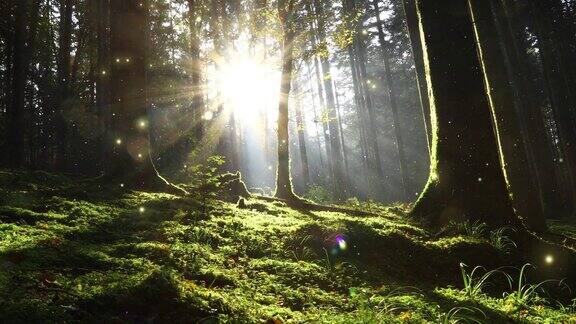 梦幻萤火虫在苔藓和阳光明媚的森林童话景观
