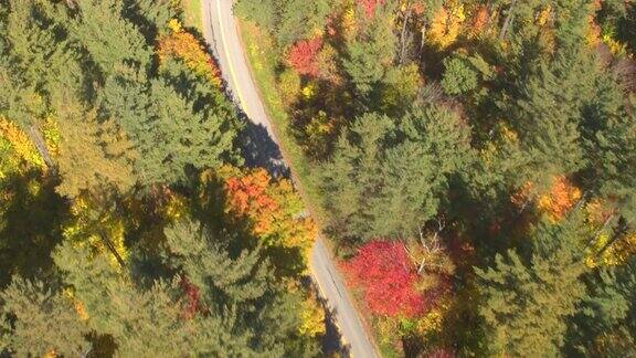 航拍:越野车在树叶偷窥公路上行驶穿过五彩缤纷的秋天森林
