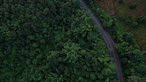 鸟瞰图俯瞰乡村道路与绿色森林