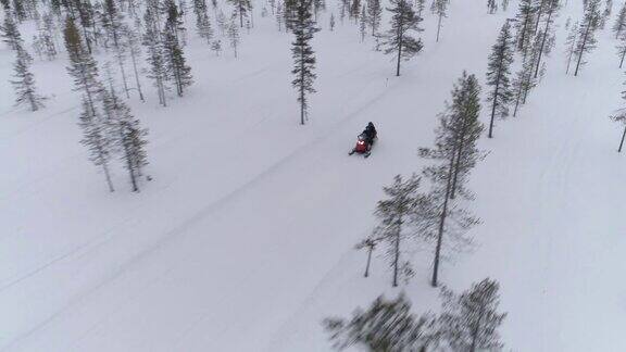 近景:游客在白色芬兰的冬季山地森林里驾驶雪地摩托