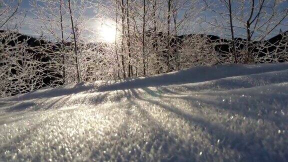 阳光透过冰冻的树木照射进来日出在山上平衡稳定拍摄