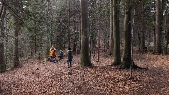 一家人在秋天的森林里散步