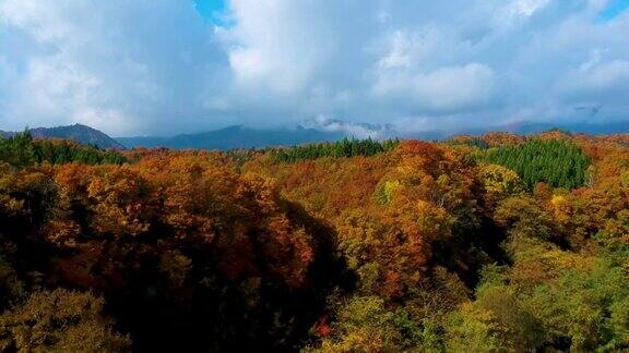 鸟瞰日本秋叶景观
