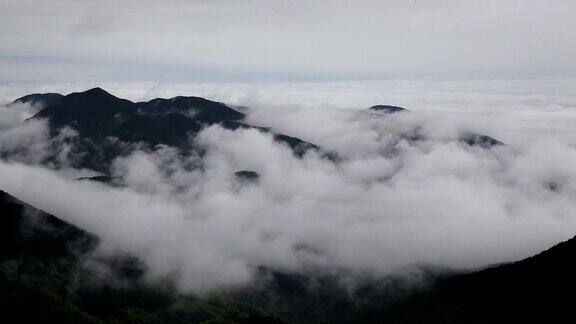 鸟瞰图山上森林覆盖着云