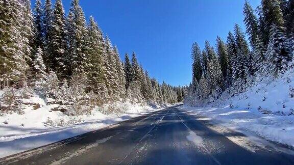 冬天在一个阳光明媚的日子里在一条空旷的道路上沿着白雪覆盖的森林行驶