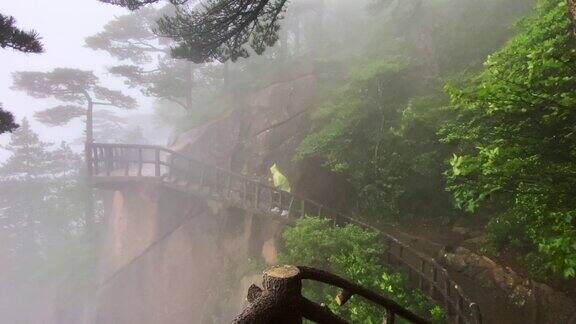 雨中的游客中国安徽黄山
